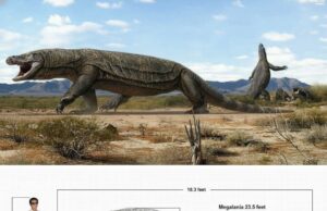 Apocalypse Now: Ketakutan Sejati dari Alam Nyata