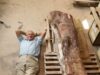 Menelusuri Jejak Titan: Sir David Attenborough dan Tulang Paha Colossal Titanosaur