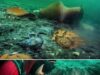 Penemuan Kuil Purba yang Tenggelam di Dasar Laut Mediterranean