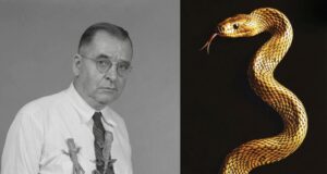 Tragedi Serpentina: Kisah Karl Patterson Schmidt dan Satu Gigitan Fatal