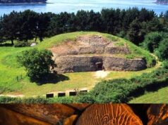 The Sanctuary of Resilience: A Tribute to Nature’s Giants