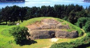 The Sanctuary of Resilience: A Tribute to Nature’s Giants