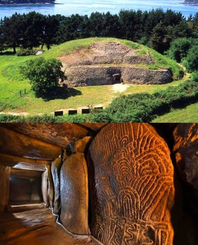 The Sanctuary of Resilience: A Tribute to Nature’s Giants