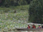 Aktiviti pelancongan di Tasik Chini terus berjalan dengan baik, sementara fokus dipindahkan kepada pusat penyelidikan yang memperkasa penggunaan Bahasa Melayu.
