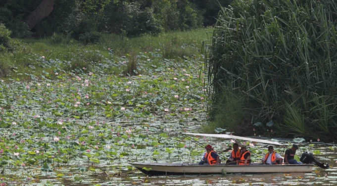 Aktiviti pelancongan di Tasik Chini terus berjalan dengan baik, sementara fokus dipindahkan kepada pusat penyelidikan yang memperkasa penggunaan Bahasa Melayu.