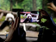 Panda gergasi terakhir Japan mengucapkan selamat tinggal yang emosional di zoo Tokyo.