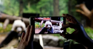 Panda gergasi terakhir Japan mengucapkan selamat tinggal yang emosional di zoo Tokyo.