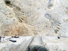 Jejak Manusia Purba di White Sands: 23,000 Tahun yang Lalu