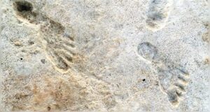 Jejak Manusia Purba di White Sands: 23,000 Tahun yang Lalu