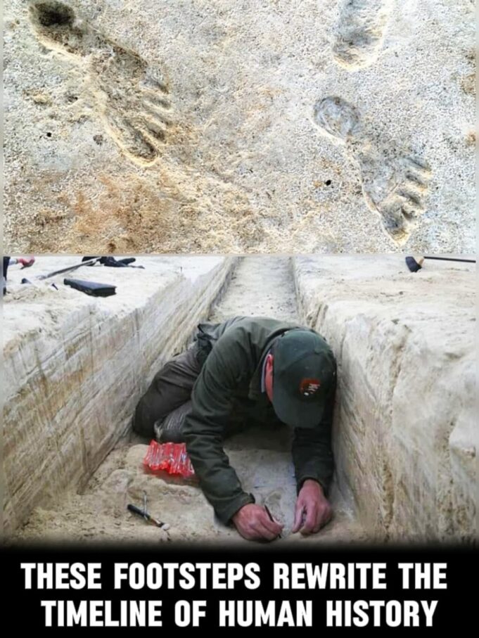 Jejak Manusia Purba di White Sands: 23,000 Tahun yang Lalu