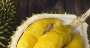 Analisis Ekonomi Musang King: Potensi dan Cabaran dalam Pasaran Durian