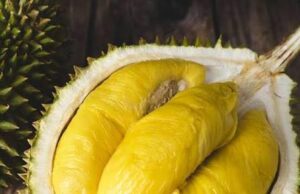 Analisis Ekonomi Musang King: Potensi dan Cabaran dalam Pasaran Durian