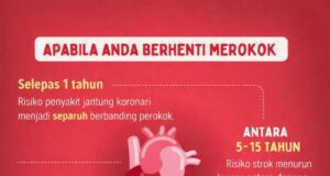 Risiko dan Realiti: Memahami Kesan Berhenti Merokok