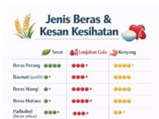 Perasaan Selepas Makan Nasi: Antara Mengantuk, Cepat Lapar dan Rasa Bersalah
