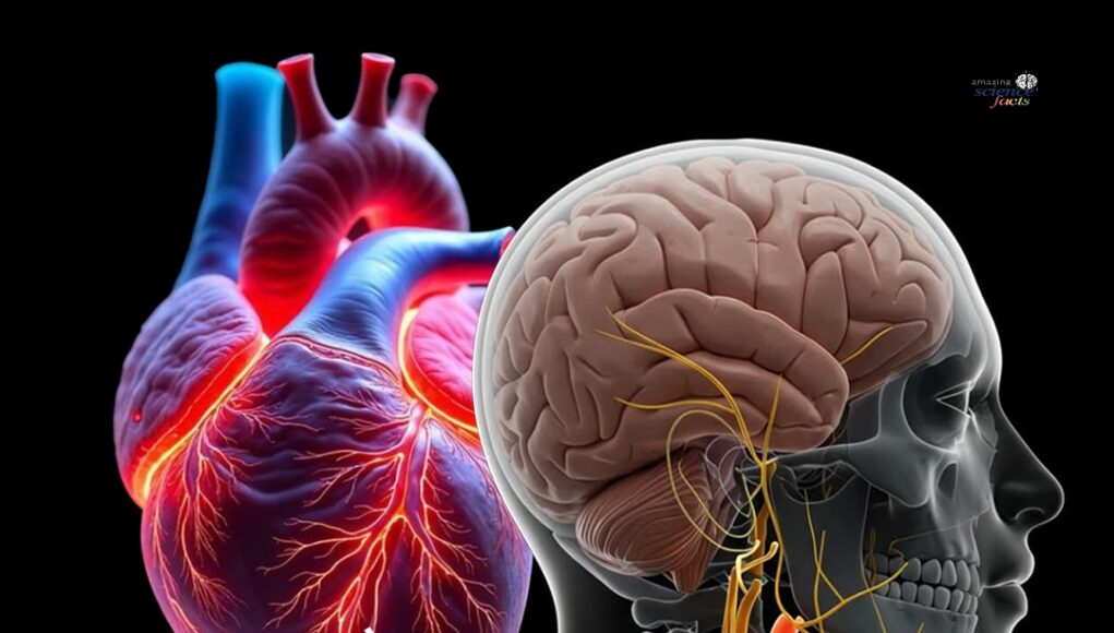 Pelindung Biologi: Ketenangan Jiwa sebagai Perisai Hati