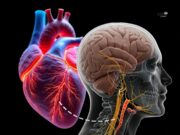 Pelindung Biologi: Ketenangan Jiwa sebagai Perisai Hati
