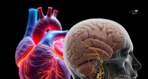 Pelindung Biologi: Ketenangan Jiwa sebagai Perisai Hati