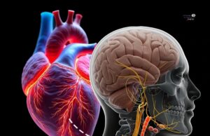 Pelindung Biologi: Ketenangan Jiwa sebagai Perisai Hati