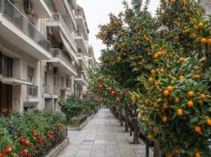 Transformasi Jalan Raya: Hutan Makanan untuk Semua!