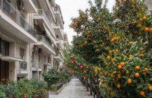 Transformasi Jalan Raya: Hutan Makanan untuk Semua!