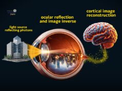Memahami Pandangan Terbalik: Bagaimana Otak Menyesuaikan Realiti