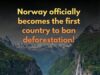 Norway Leads the Way: First Nation to Officially Ban Deforestation