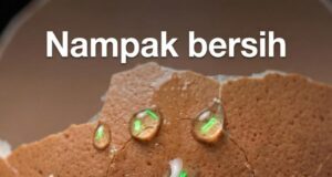 Jaga Kebersihan: Pentingnya Membasuh Telur Sebelum Disimpan