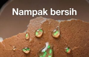 Jaga Kebersihan: Pentingnya Membasuh Telur Sebelum Disimpan