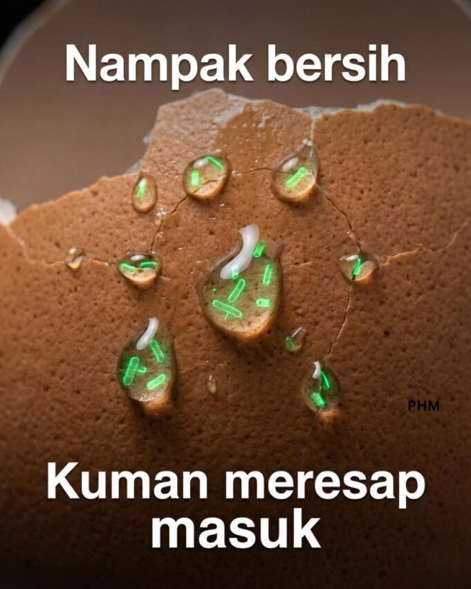 Jaga Kebersihan: Pentingnya Membasuh Telur Sebelum Disimpan