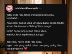 Kucing Menunggu di Depan Tandas: Siapa Sangka Ada Sebab Tersembunyi?