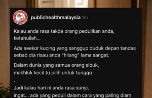 Kucing Menunggu di Depan Tandas: Siapa Sangka Ada Sebab Tersembunyi?