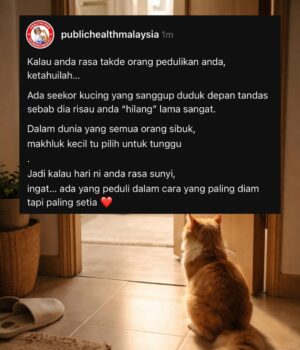 Kucing Menunggu di Depan Tandas: Siapa Sangka Ada Sebab Tersembunyi?