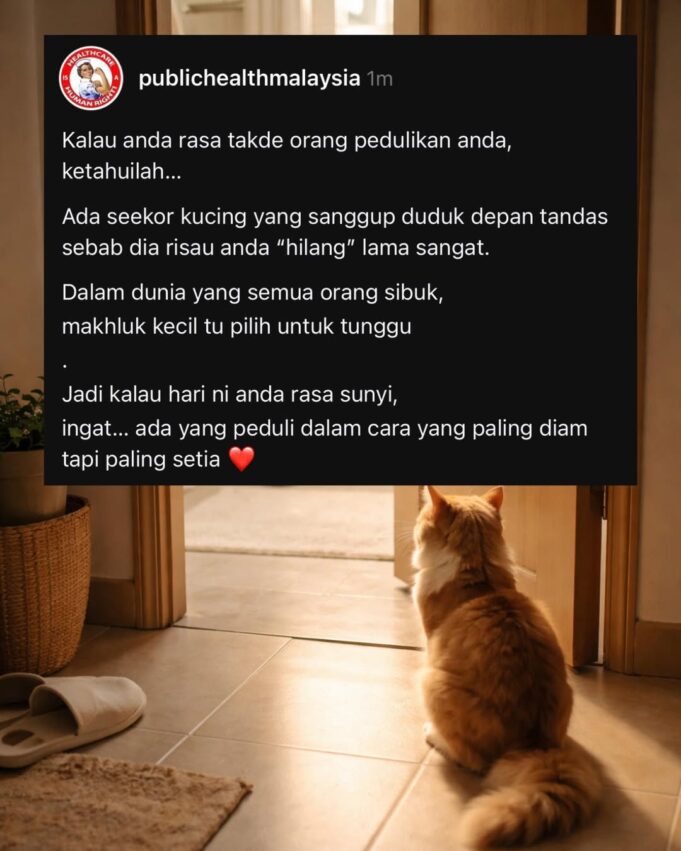 Kucing Menunggu di Depan Tandas: Siapa Sangka Ada Sebab Tersembunyi?