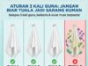Kesedaran Pagi: Bahaya Mengabaikan Kebersihan Muka