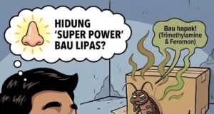 Apabila Bau Menggoda: Kisah di Dalam Bilik