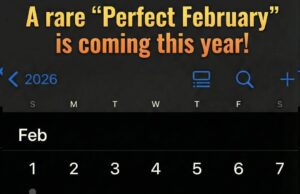 Bulan Sempurna: Kecemerlangan Februari 2026!