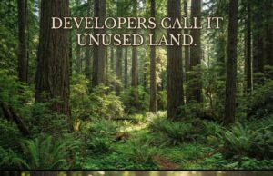 Deforestasi: Krisis Kehilangan 10 Juta Hektar Hutan Setiap Tahun