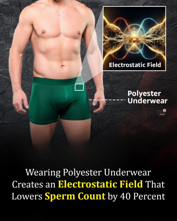 Kesan Pilihan Pakaian Dalam Terhadap Kesuburan Anda