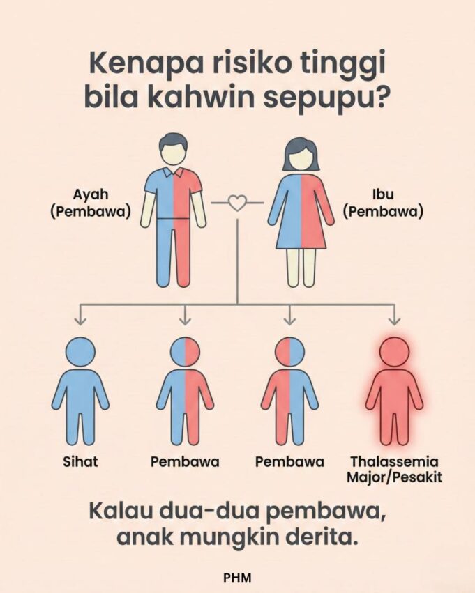 Thalassemia dan kanser darah adalah dua keadaan yang berbeza. Thalassemia adalah penyakit genetik yang mempengaruhi penghasilan hemoglobin dalam sel darah merah, menyebabkan anemia. Manakala kanser darah, seperti leukemia, melibatkan pertumbuhan sel darah yang tidak normal. Keduanya memberi kesan kepada darah, tetapi punca dan rawatannya berbeza.
Tajuk yang sesuai: “Memahami Perbezaan Antara Thalassemia dan Kanser Darah”