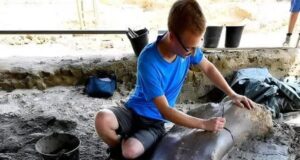 Penemuan Tulang Paha Raksasa: Dino 50-Ton dari Perancis Menyimpan Rahsia Zaman Purba