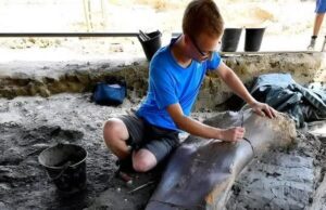 Penemuan Tulang Paha Raksasa: Dino 50-Ton dari Perancis Menyimpan Rahsia Zaman Purba