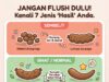 Perhatian Penting: Semak Sebelum Flush!