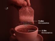 Realiti Di Sebalik Teh: Memahami Bahan dalam Beg Teh Padu Silken