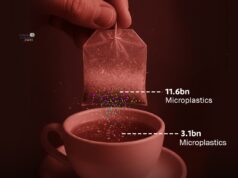 Realiti Di Sebalik Teh: Memahami Bahan dalam Beg Teh Padu Silken