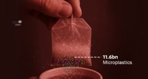 Realiti Di Sebalik Teh: Memahami Bahan dalam Beg Teh Padu Silken