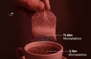 Realiti Di Sebalik Teh: Memahami Bahan dalam Beg Teh Padu Silken