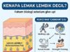 Perjuangan Menurunkan Berat Badan: Ketika Cermin Tidak Berbicara Seperti Penimbang