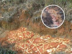 Kawah Misteri di Louisiana: Kunci Sejarah yang Penuh Drama