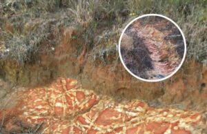 Kawah Misteri di Louisiana: Kunci Sejarah yang Penuh Drama