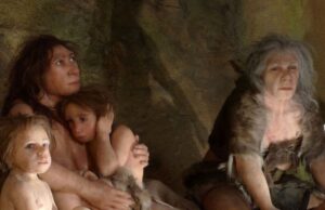 Menelusuri Jejak Tina: Neanderthal Perempuan dengan Sindrom Down yang Hidup 146,000 Tahun Lalu